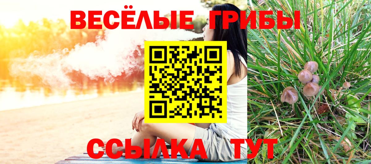 Лангепас  Галлюциногенные грибы Cubensis  Вход с VPN  Псилоцибиновые грибы GOLDEN TEACHER 